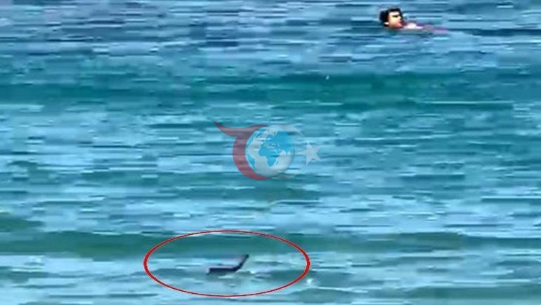Çeşme’de denize giren tatilciler şoke oldu Suyun içinde yılanla karşılaştılar