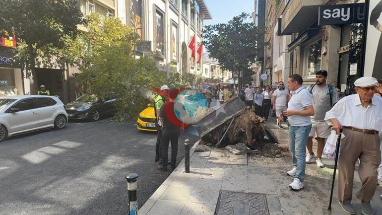 Nişantaşı’nda çınar ağacı taksinin üzerine devrildi Teşvikiye Caddesi trafiğe kapandı
