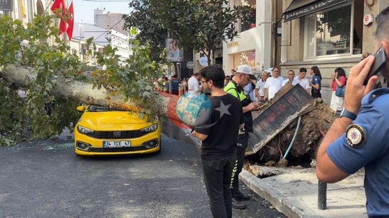 Nişantaşı’nda çınar ağacı taksinin üzerine devrildi Teşvikiye Caddesi trafiğe kapandı