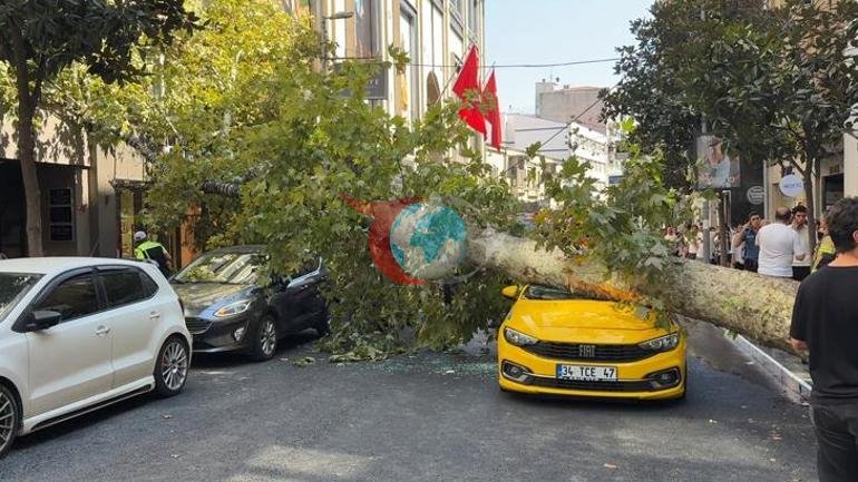 Nişantaşı’nda çınar ağacı taksinin üzerine devrildi Teşvikiye Caddesi trafiğe kapandı