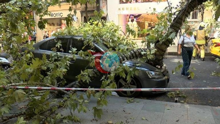 Nişantaşı’nda çınar ağacı taksinin üzerine devrildi Teşvikiye Caddesi trafiğe kapandı