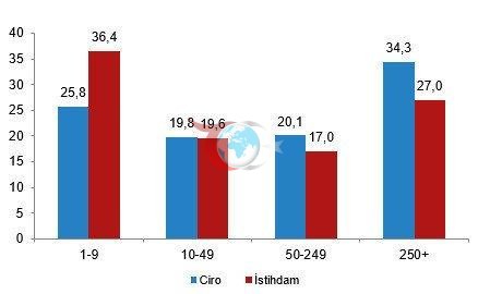 TÜİK verileri açıkladı: Girişimlerin yüzde 54'ü bu sektörde