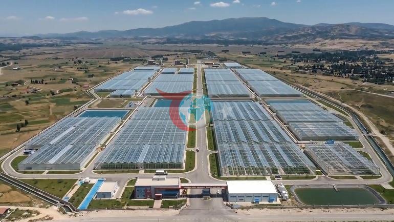 Bakan Yumaklı: Simav Jeotermal Isıtmalı Sera Organize Tarım Bölgesi üretime hazır