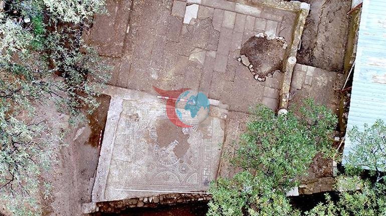 Balıkesir Villasında minlərlə il əvvələ aid maraqlı kəşf