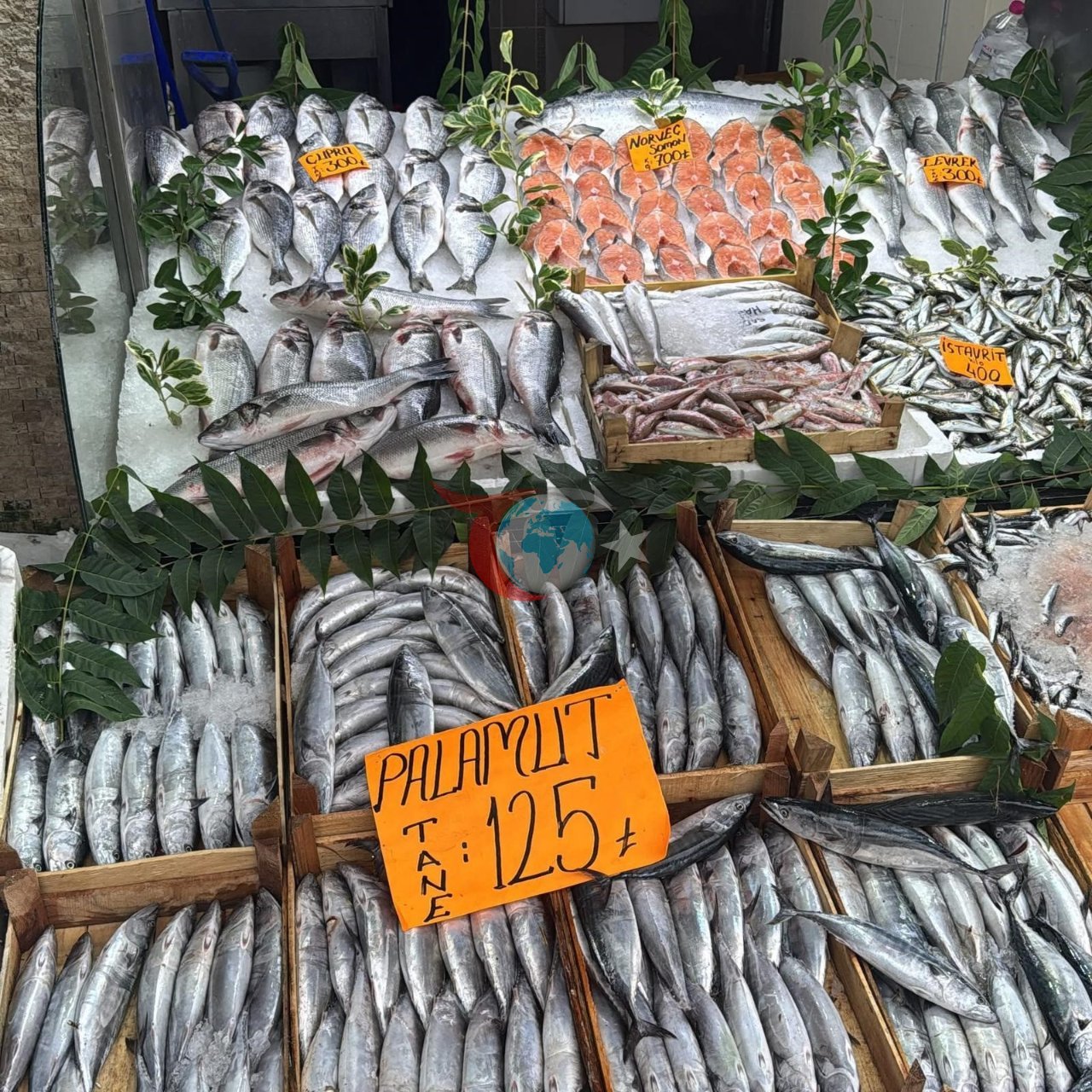Palamutta bolluk var! Esnaf satışlardan, vatandaş fiyattan memnun