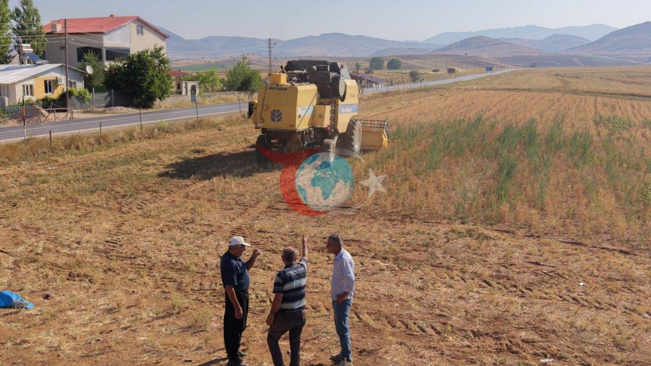 Hasat yapan çiftçinin yüzü güldü: Kilosu 100 liradan satılıyor