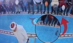 Yer: Erzurum! Cami içinde kediyi tekmeledi: Gözaltına alındı