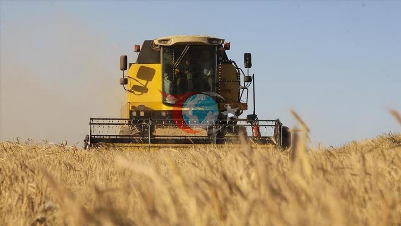 TMO'dan Tarihi Rekor: Hububat Alımında 12,1 Milyon Ton Sınırı Aşıldı