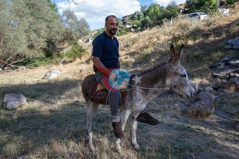 Kadifenin başına gelenler sosyal medyayı salladı: Bir daha böyle bir eşek bulamayız