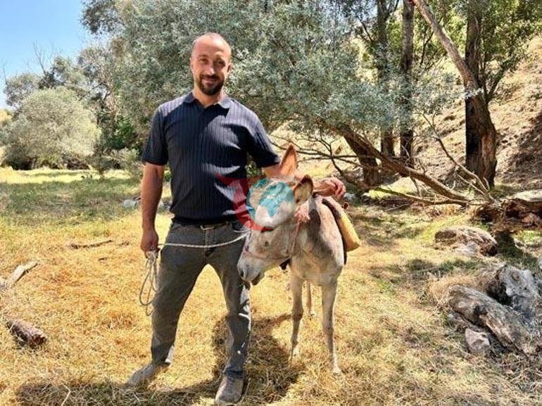 Kadifenin başına gelenler sosyal medyayı salladı: Bir daha böyle bir eşek bulamayız