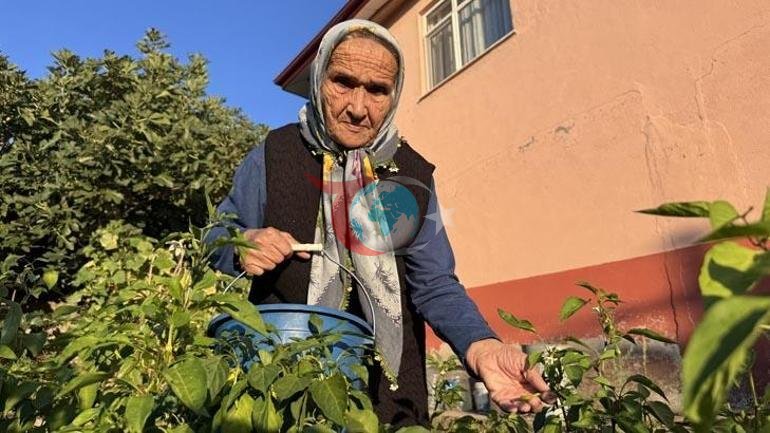 81 yaşında Bob Rossdan ilhamlanıb: Mən rəsm çəkərkən dünyaya əhəmiyyət vermirəm