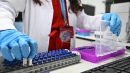 Бул Кечиөрен муниципалитети тарабынан көтөрүлгөн: Иш берүүчү дары тестин талап кылууга укугу барбы?