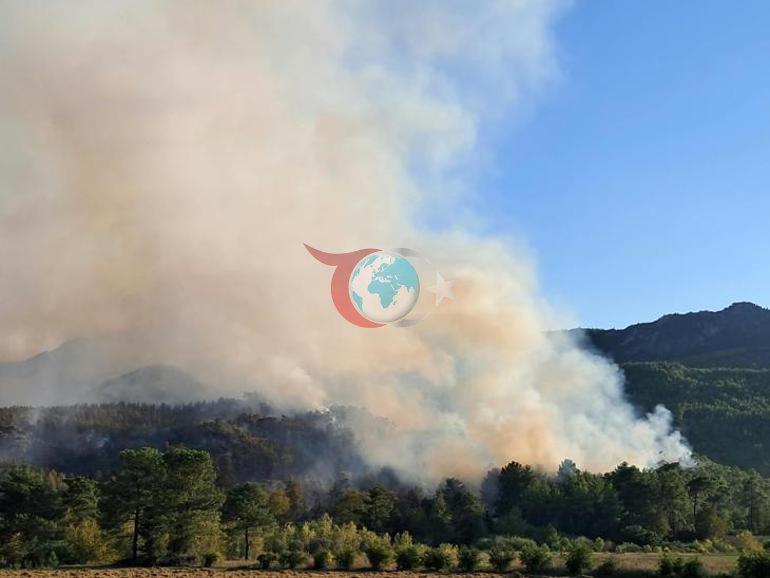 Antalyada yangın alarmı Havadan ve karadan müdahale sürüyor