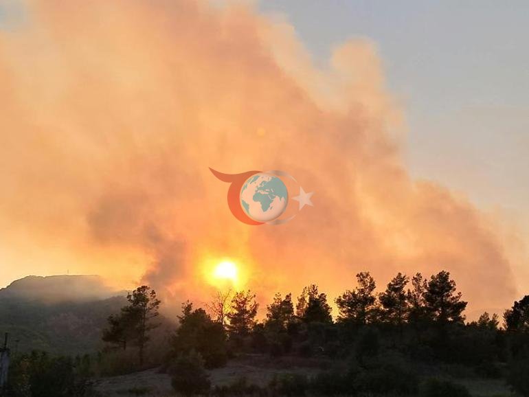Antalyada yangın alarmı Havadan ve karadan müdahale sürüyor
