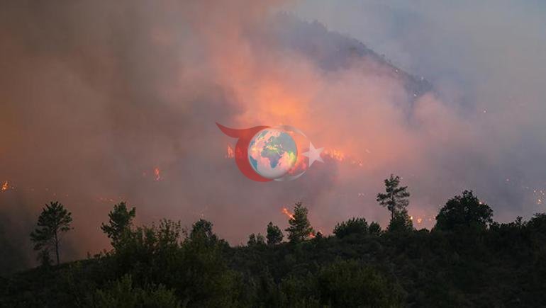 Alevler rüzgarla yayıldı 2 kentte orman yangını alarmı