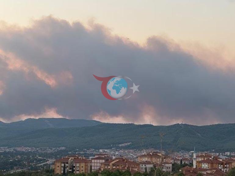 Alevler rüzgarla yayıldı 2 kentte orman yangını alarmı
