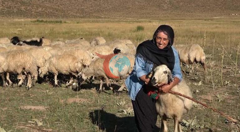 2 çocuk annesi yaylada çobanlık yapıyor Şimdi tek bir hayalin peşinde