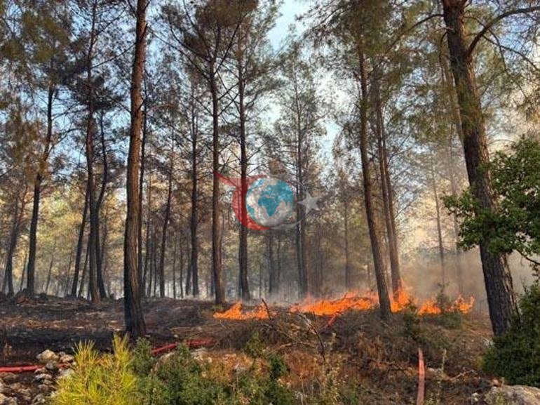 Antaliyada baş verən yanğının 2-ci günündə 2 mindən çox ev işıqsız qaldı