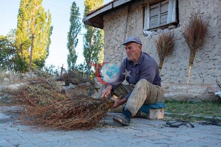 70 yaşında, direniyor: Benden başka yapan kalmadı