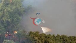 Türkiye'nin ciğerleri yanıyor! Antalya ve Adana'da mücadele sürüyor... Orman yangınlarında son durum