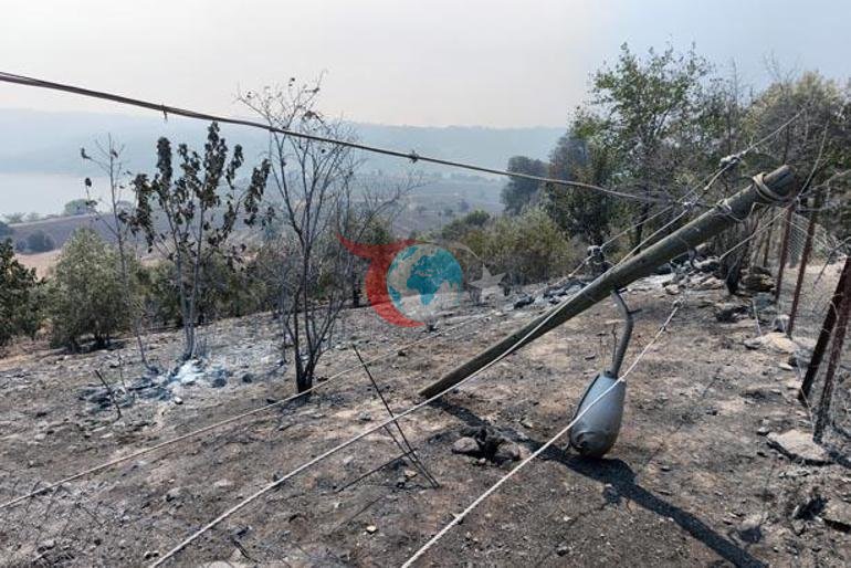 Kozan’da başlayıp, 2 ilçeye daha sıçrayan orman yangınında 3’üncü gün