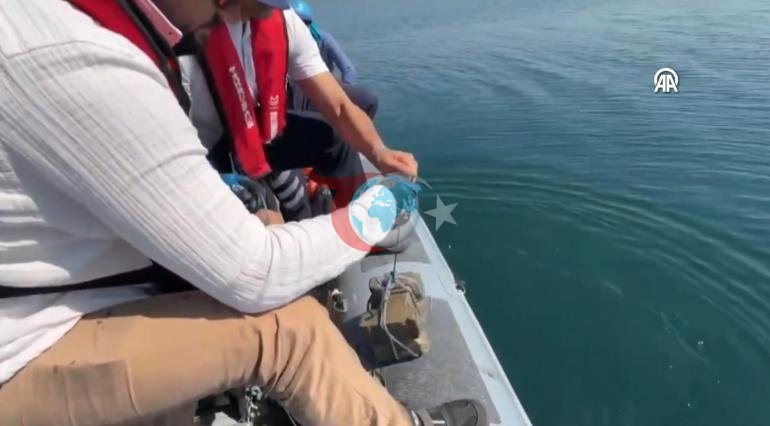 Сапанка көлүндө колго түшүрүлдү, узундугу метр…