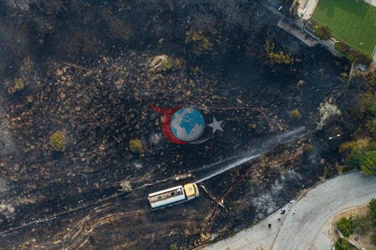 Ankarada meşə sahəsində yanğın. Ətrafdakı yaşayış məntəqələri boşaldılıb