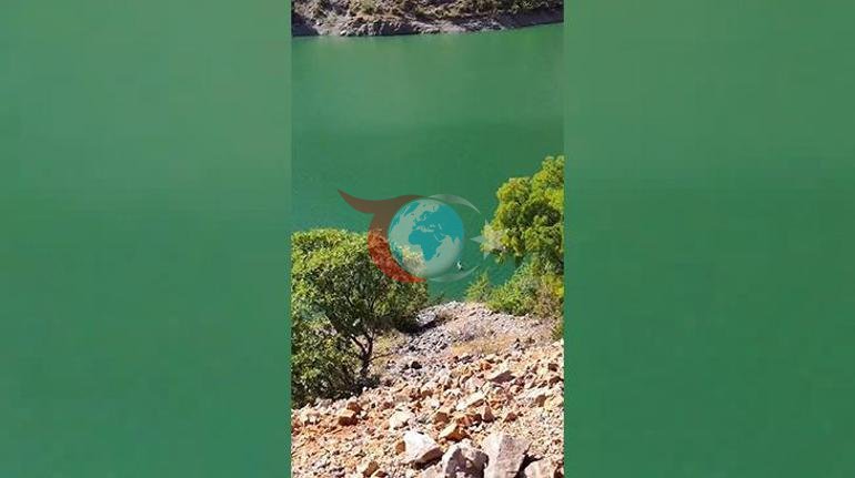 Тунжелинин сүзүү тамашасынан даректүү тасмага окшош сүрөттөр камерада