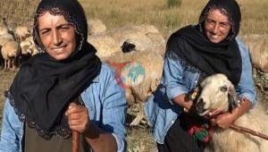 2 баланын энеси тоодо чабан. Азыр бир кыялынын артынан сая түшүп, 2 балалуу болуп жүрөт