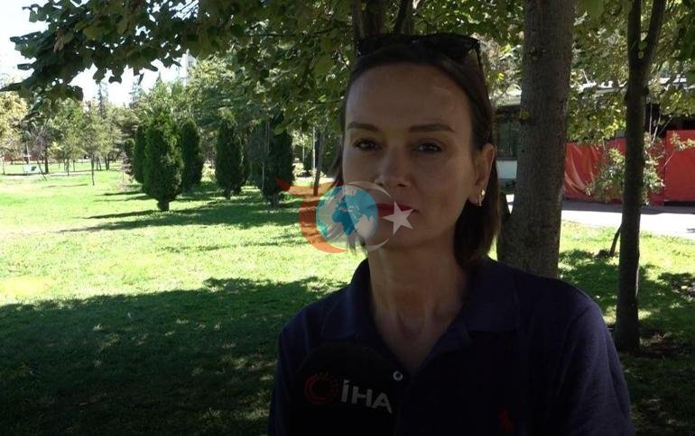 3 bin yıllık Midas Kenti’nde tepki çeken görüntüler Tarihi duvarlara isim ve şekiller kazıdılar