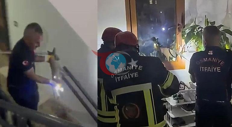 Osmaniyede şaşkına çeviren olay Tilki apartmanın 3. katına çıktı