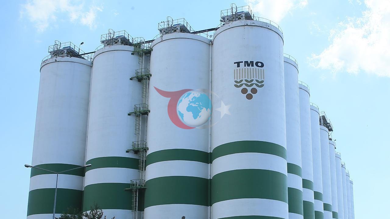 TMO'dan Üreticiye ve Sektöre Büyük Destek: Arpa Satışları Başladı