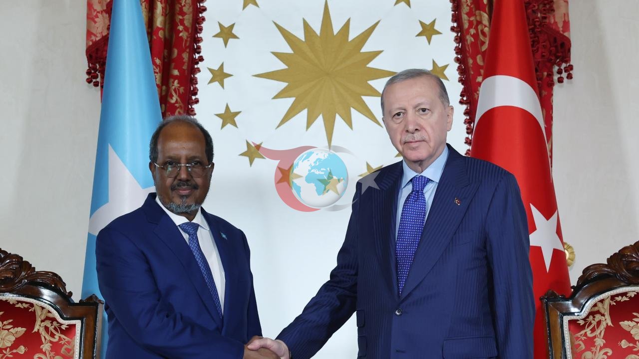Türkiye Cumhuriyeti Cumhurbaşkanı Recep Tayyip Erdoğan ve Somali Cumhurbaşkanı Hasan Şeyh Mahmud
