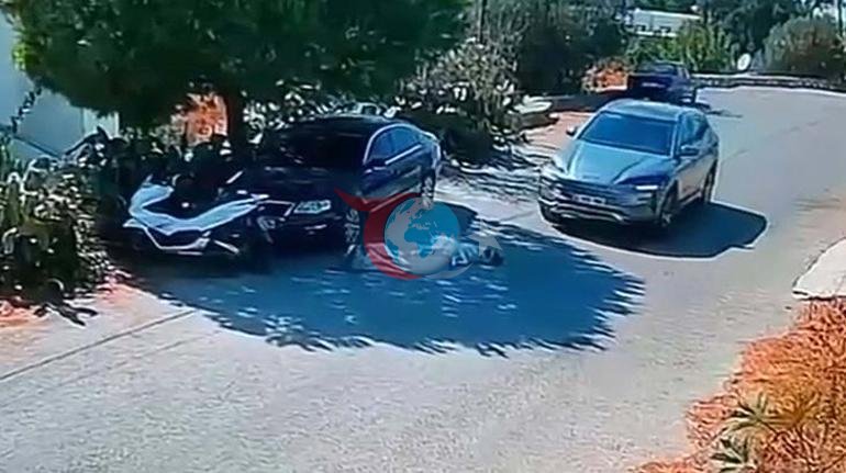 Bodrumda bir sürücü iki köpeği ezdi, yoluna devam etti