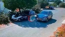 Bodrum'da bir sürücü iki köpeği ezdi, yoluna devam etti