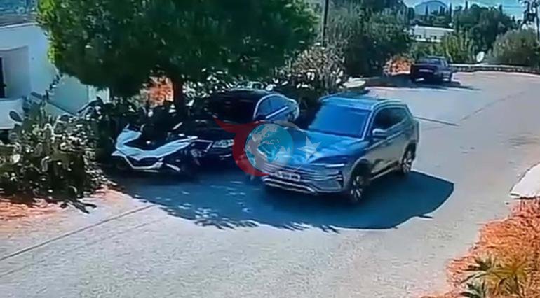 Bodrumda reaksiya çəkən görüntü avtomobil 2 itin üstündən keçdi, sürücü yoluna davam etdi