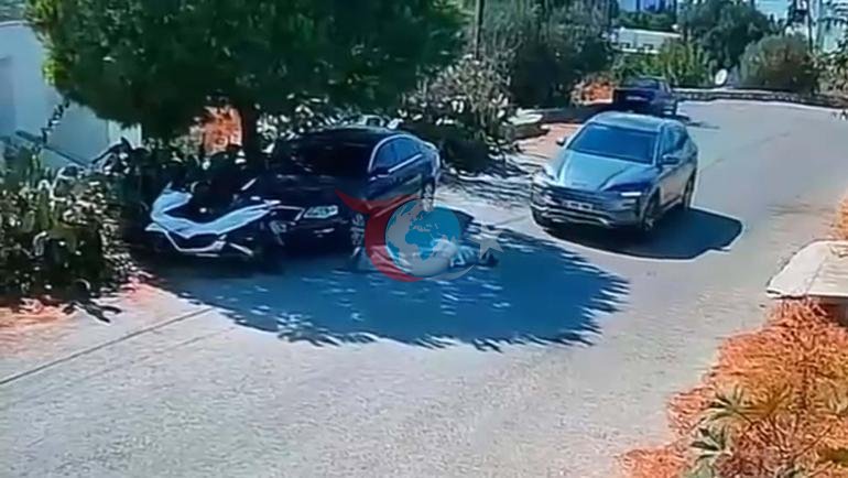 Bodrumda reaksiya çəkən görüntü Avtomobil 2 itin üzərinə sürdü, sürücü yoluna davam etdi