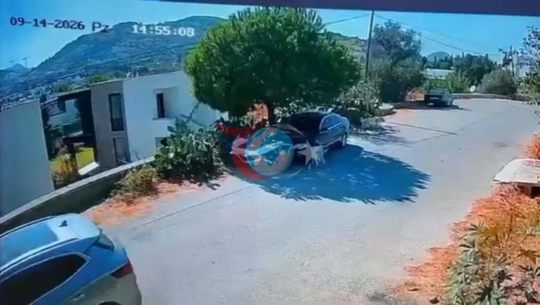 Bodrumda reaksiya çəkən görüntü avtomobil 2 itin üstündən keçdi, sürücü yoluna davam etdi