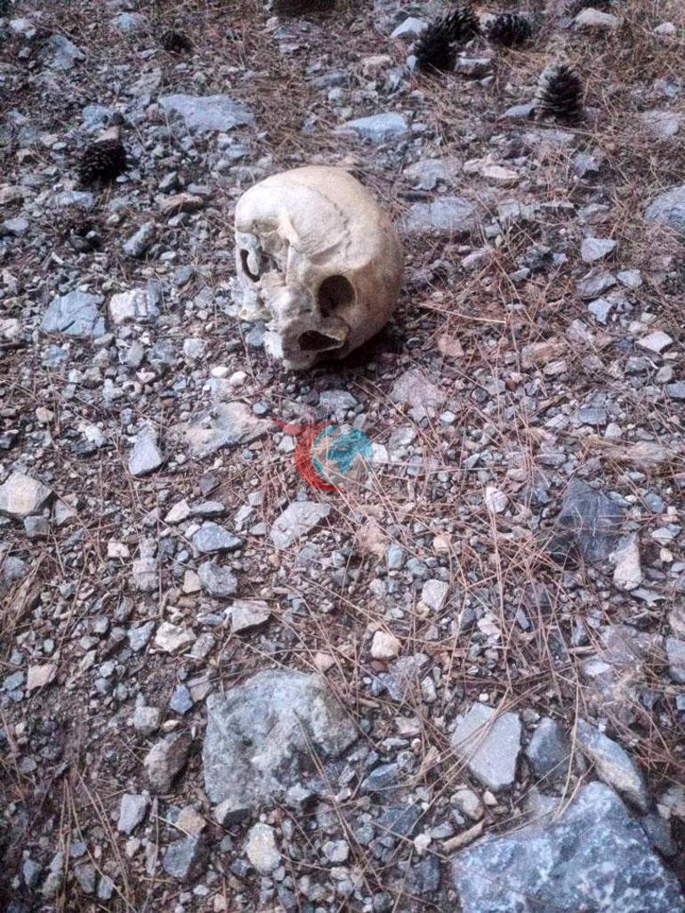 15 aydır her yerde aranıyordu... Cansız bedenine ait kemik parçaları bulundu