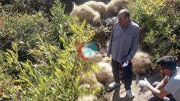 Yaylada həyat bazarı! Çoxlu qoyun tələf oldu