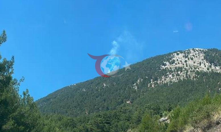 Fethiye'de Orman Yangını: Havadan ve Karadan Yoğun Müdahale Başladı