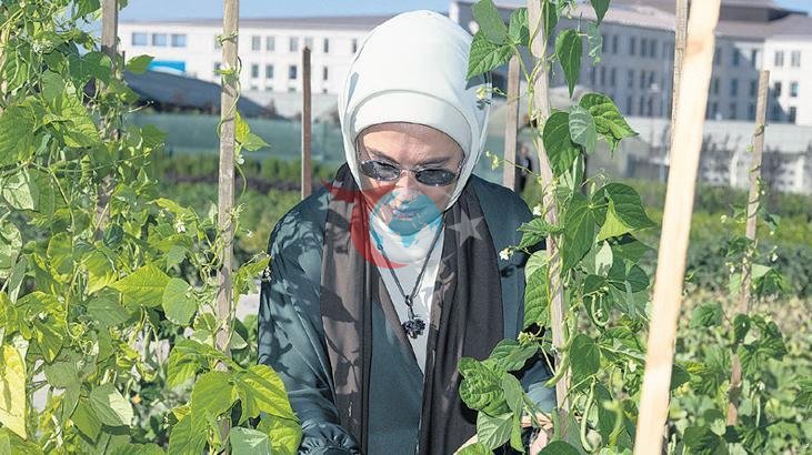 Emine Erdoğan'dan Milli Botanik Bahçesi'ne Anlamlı Ziyaret: "Geleceğimiz İçin Çok Kıymetli Bir Değer"