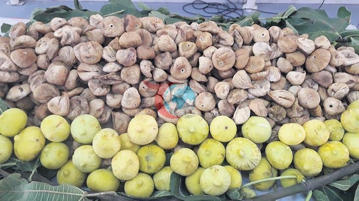 Kuru İncirde İhracat Gemisinin Rotası Belli Ama Fiyat Belirsizliği Sürüyor
