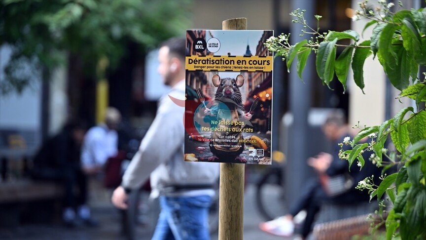 Brüksel'in Tarihi Merkezi Grand-Place'te Fare Kabusu: Esnaf ve Turistler Tedirgin