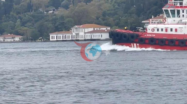 İstanbul Boğazında büyük sürpriz Kıyıdan kaydettiler