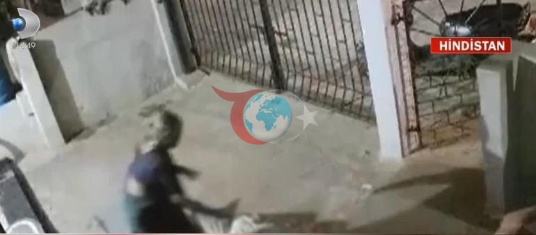 Agressiv maymun ayolni shunday o'ldirdi