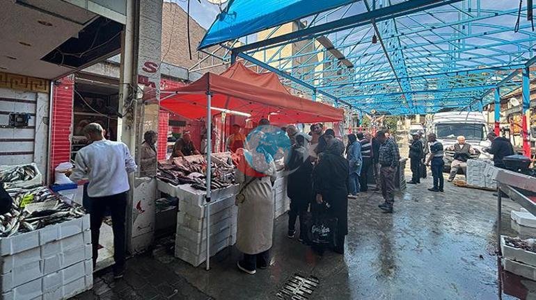 Балык базарында анчоус торуна илинип калды. Аны балык базарында көргөндөр таң калышты