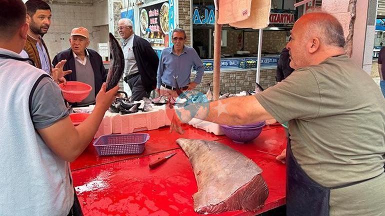 Балык базарында анчоус торуна илинип калды Аны көргөндөр таң калышты