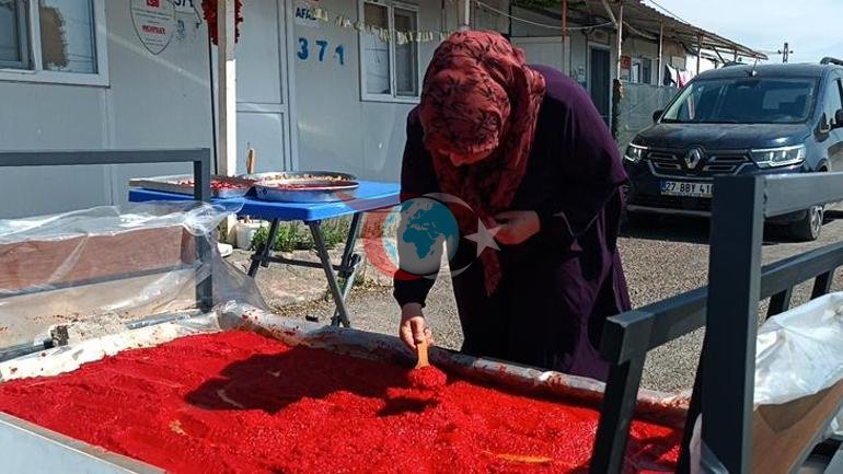 Depremzede kadınların konteyner kentte kış hazırlığı Patlıcanlar ipe dizildi, salçalar hazırlandı