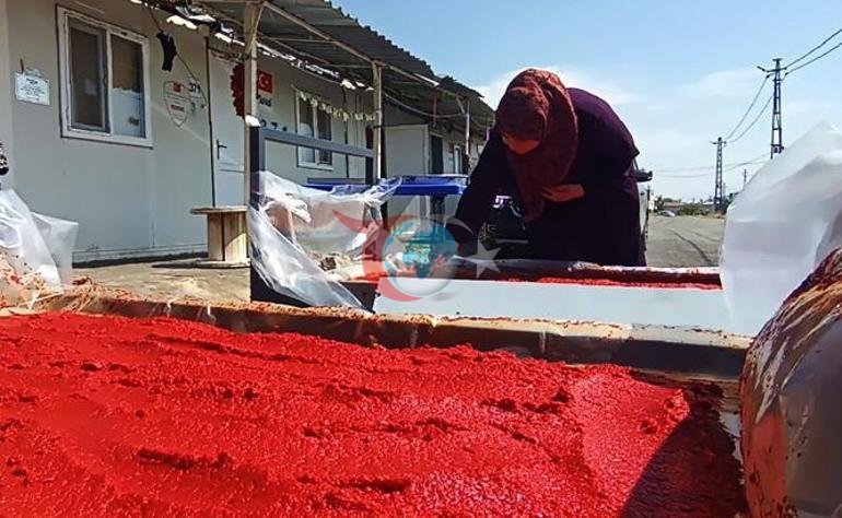 Depremzede kadınların konteyner kentte kış hazırlığı Patlıcanlar ipe dizildi, salçalar hazırlandı